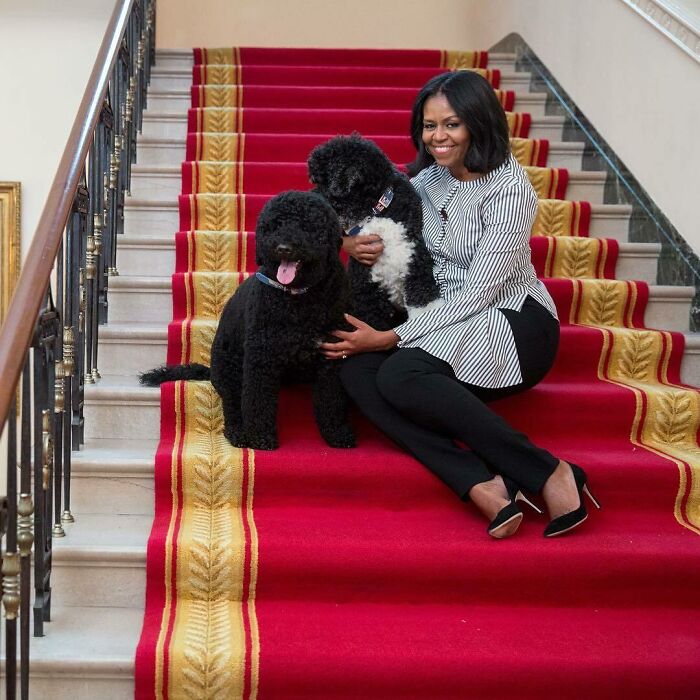 Michelle Obama With Bo And Sunny