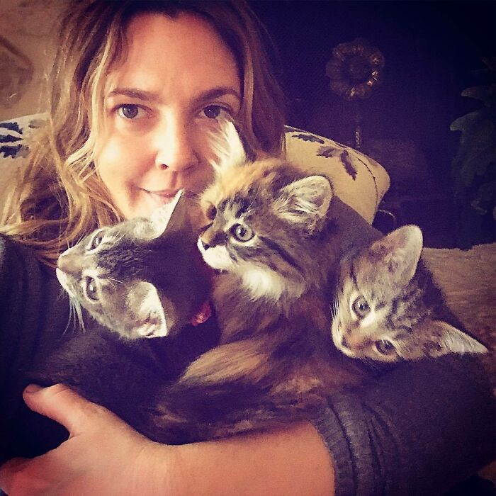 Drew Barrymore With Lucky, Peach, And Fern