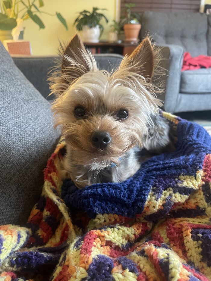 The Moment Before You Remember That You Still Have To Do Life