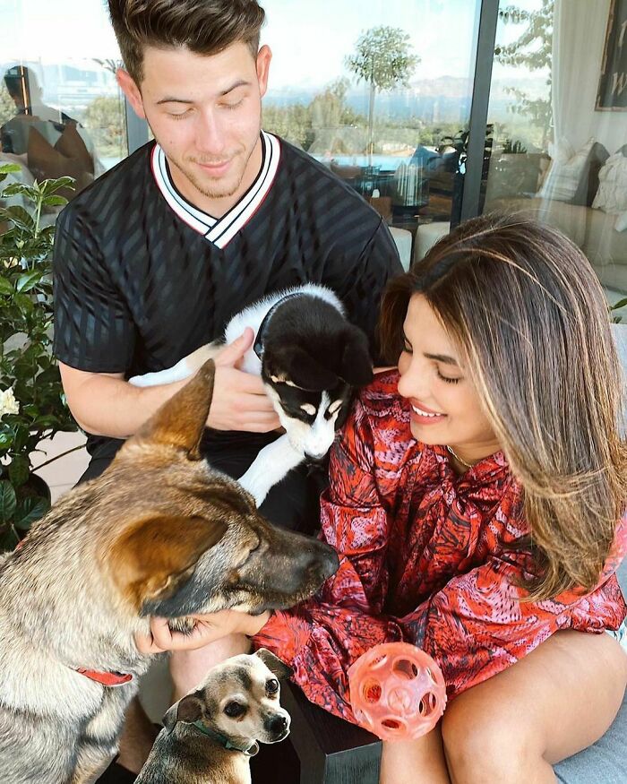 Nick Jonas And Priyanka Chopra With Panda, Gino And Diana