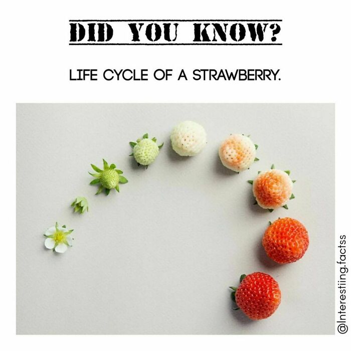 Interesting-Fascinating-Facts