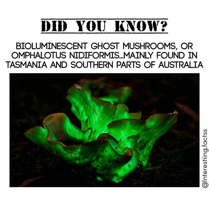 Interesting-Fascinating-Facts