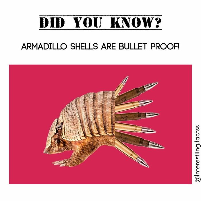 Interesting-Fascinating-Facts