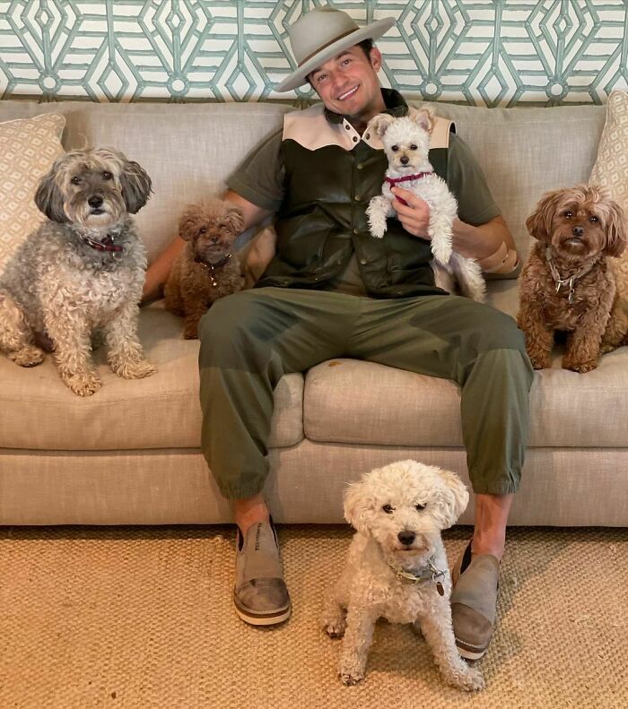 Orlando Bloom And His Pack Of Dogs