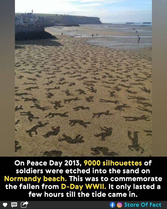 Store-Of-Crazy-Interesting-Facts