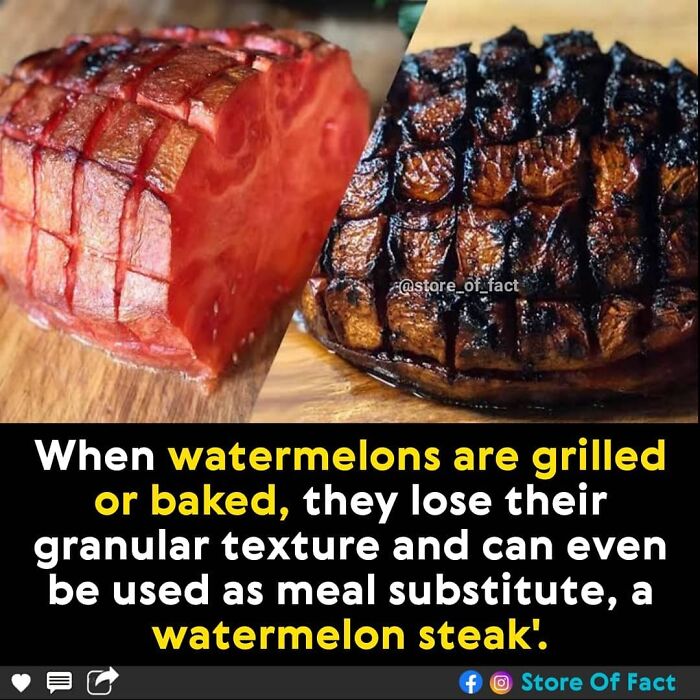 Store-Of-Crazy-Interesting-Facts