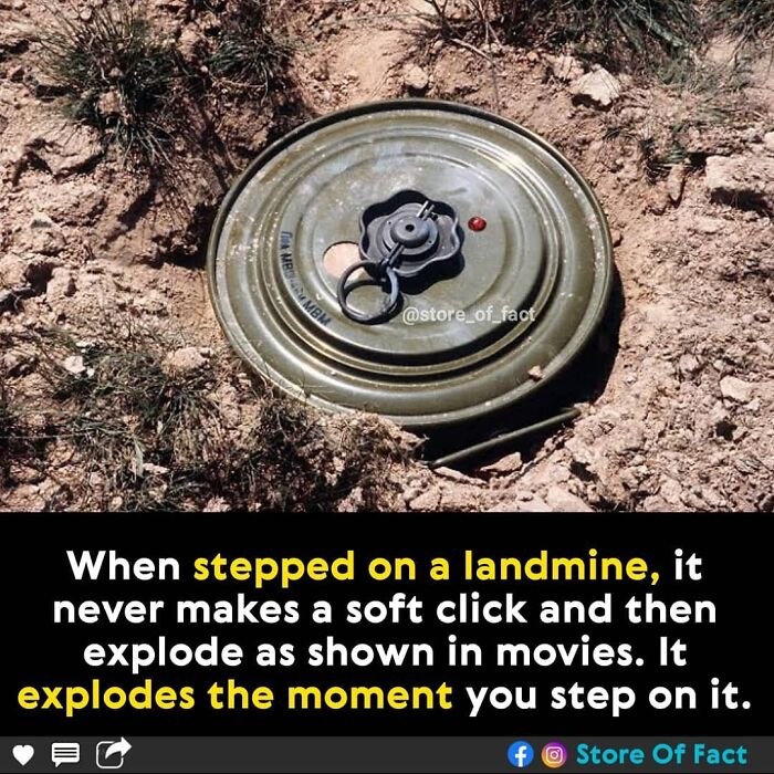 Store-Of-Crazy-Interesting-Facts