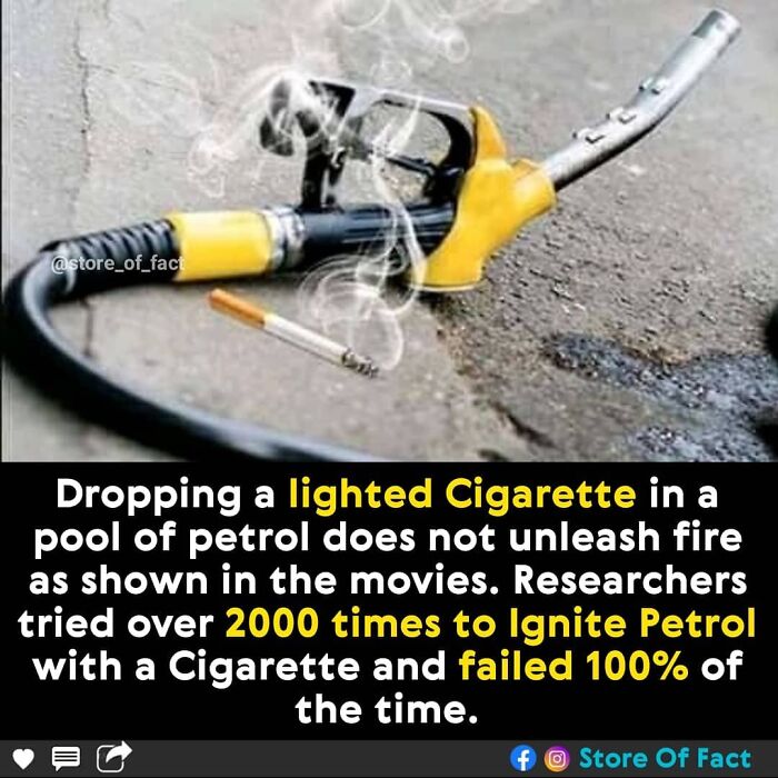 Store-Of-Crazy-Interesting-Facts