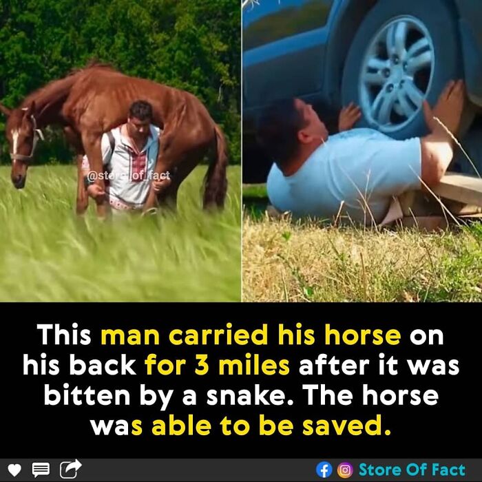 Store-Of-Crazy-Interesting-Facts