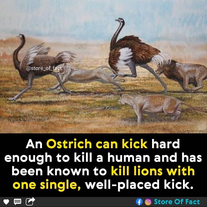 Store-Of-Crazy-Interesting-Facts