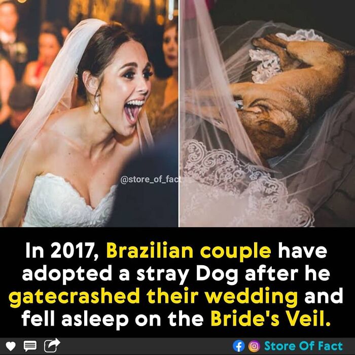 Store-Of-Crazy-Interesting-Facts