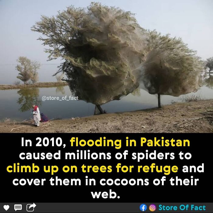 Store-Of-Crazy-Interesting-Facts