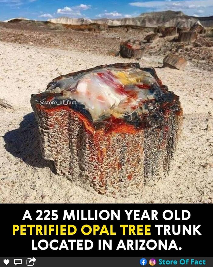 Store-Of-Crazy-Interesting-Facts