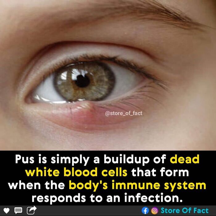 Store-Of-Crazy-Interesting-Facts