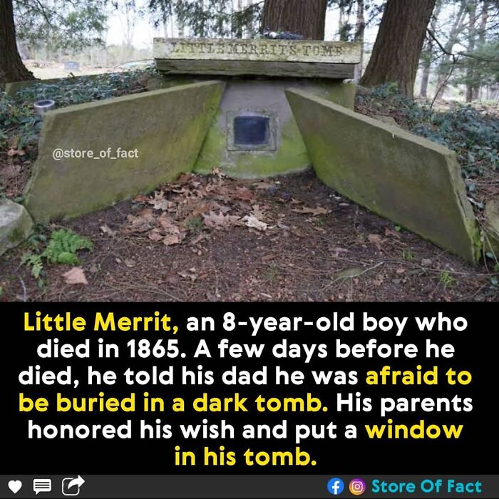 Store-Of-Crazy-Interesting-Facts