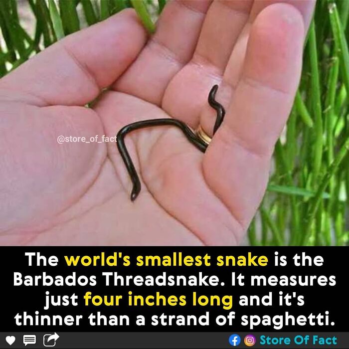 Store-Of-Crazy-Interesting-Facts