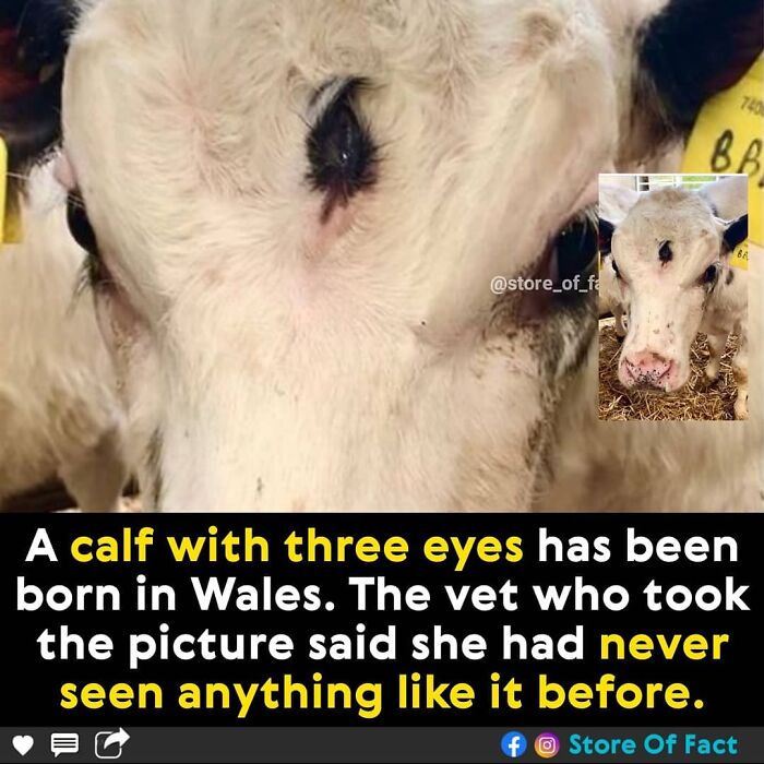 Store-Of-Crazy-Interesting-Facts