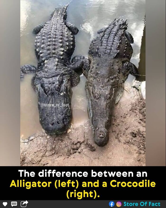 Store-Of-Crazy-Interesting-Facts