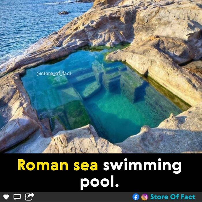 Store-Of-Crazy-Interesting-Facts