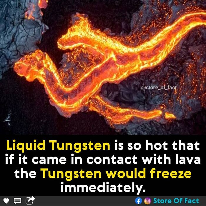 Store-Of-Crazy-Interesting-Facts