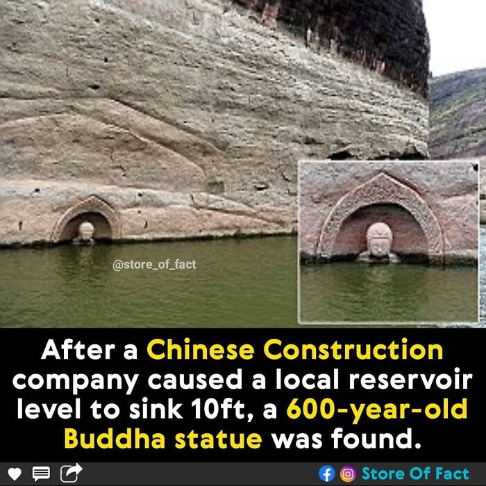 Store-Of-Crazy-Interesting-Facts