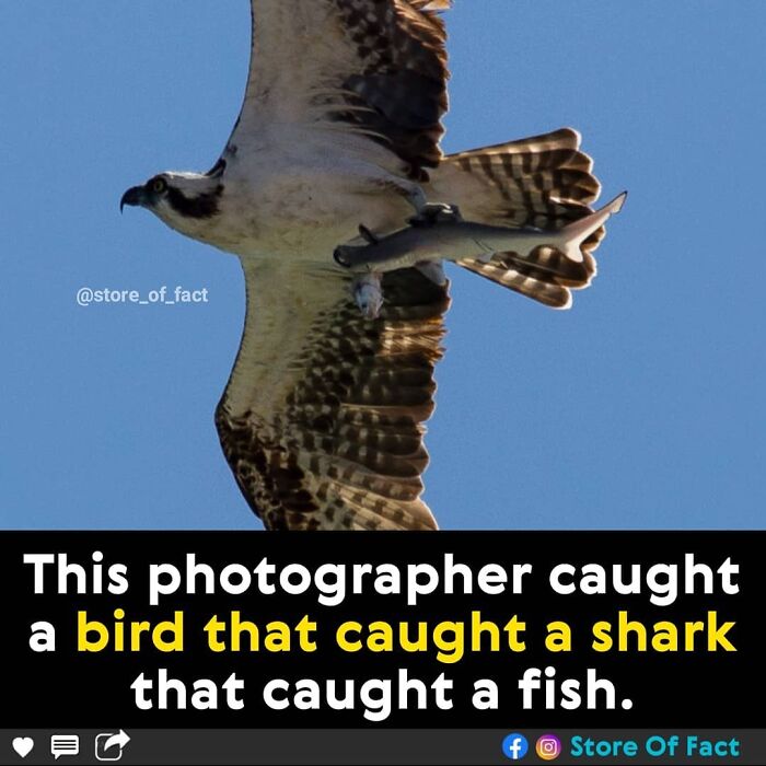 Store-Of-Crazy-Interesting-Facts