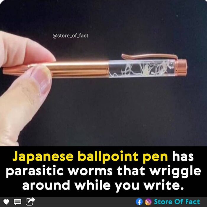 Store-Of-Crazy-Interesting-Facts