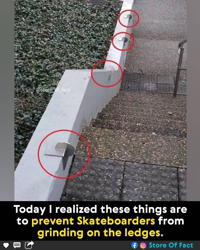 Store-Of-Crazy-Interesting-Facts