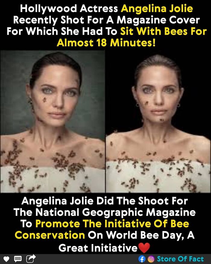 Store-Of-Crazy-Interesting-Facts