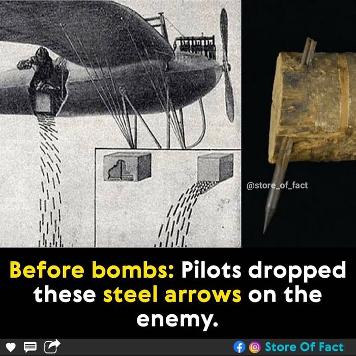 Store-Of-Crazy-Interesting-Facts