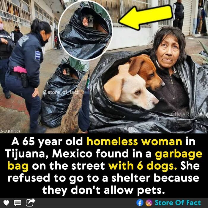 Store-Of-Crazy-Interesting-Facts