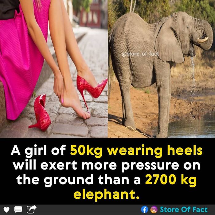 Store-Of-Crazy-Interesting-Facts