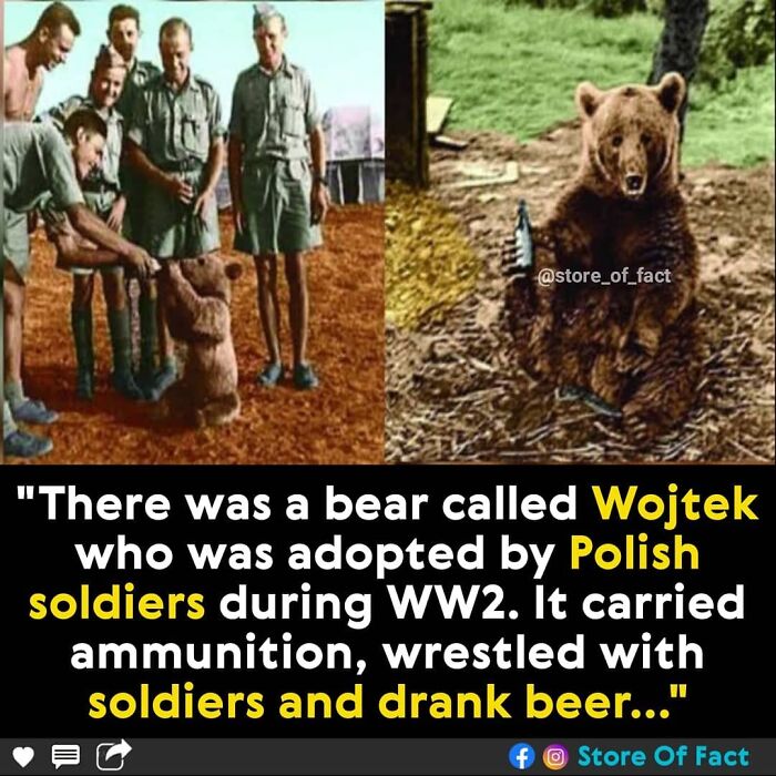 Store-Of-Crazy-Interesting-Facts