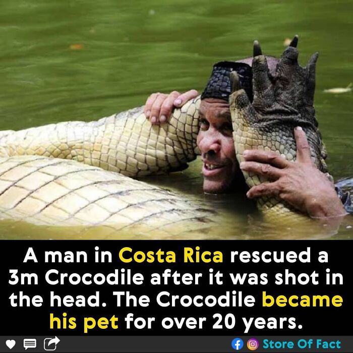 Store-Of-Crazy-Interesting-Facts