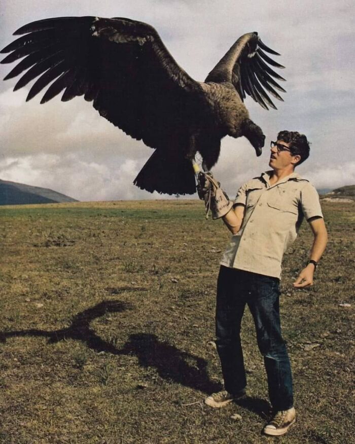 El ornitólogo Jerry McGahan con un cóndor andino de 6 meses en 1971