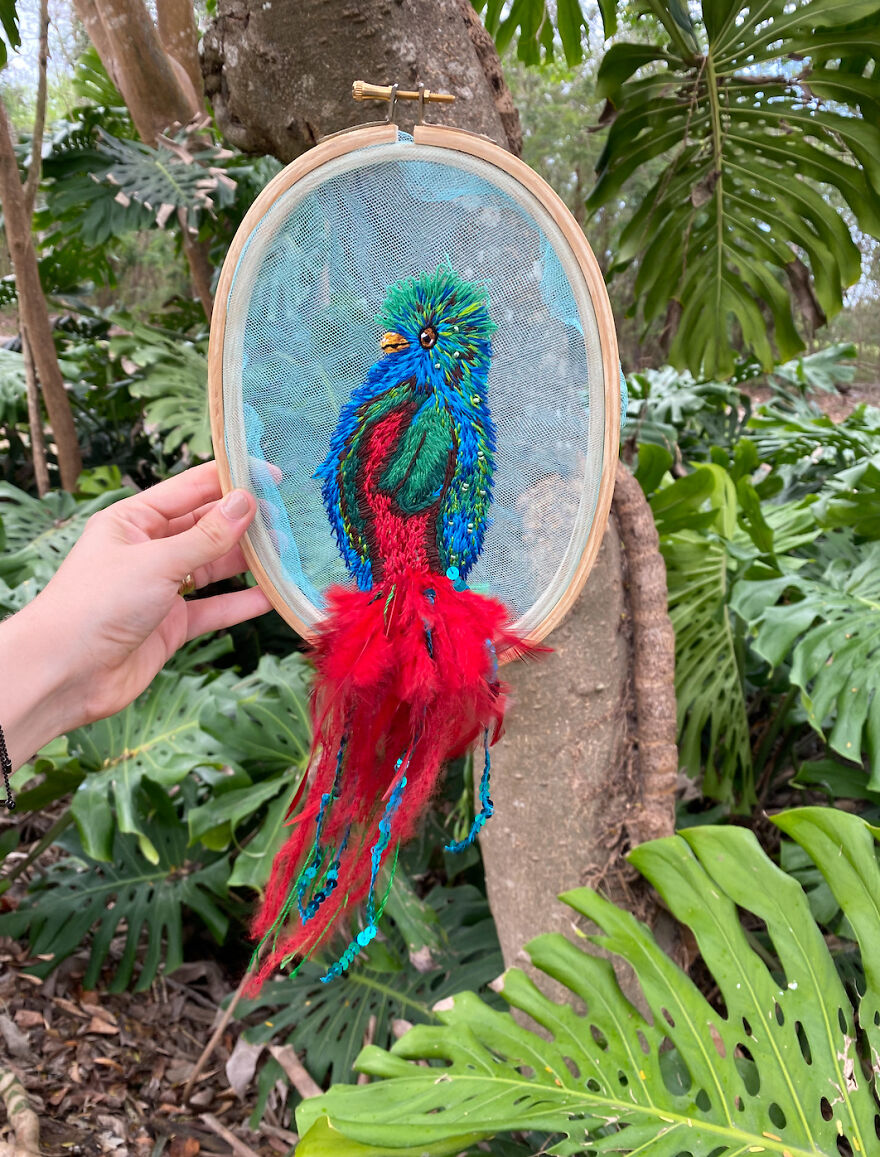 A Quetzal In The Jungle