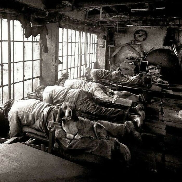 French Knife Grinders Were Called Ventres Jaunes (“Yellow Bellies” In English) Because Of The Yellow Dust That Would Be Released From The Grinding Wheel. This Photo From 1902 Shows The Workers On Their Stomachs In Order To Save Their Backs From Being Hunched All Day