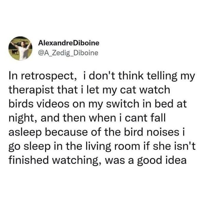 I Am A Big Fan Of Setting Healthy Boundaries, But That’s Specifically With Humans. My Dogs Call The Shots