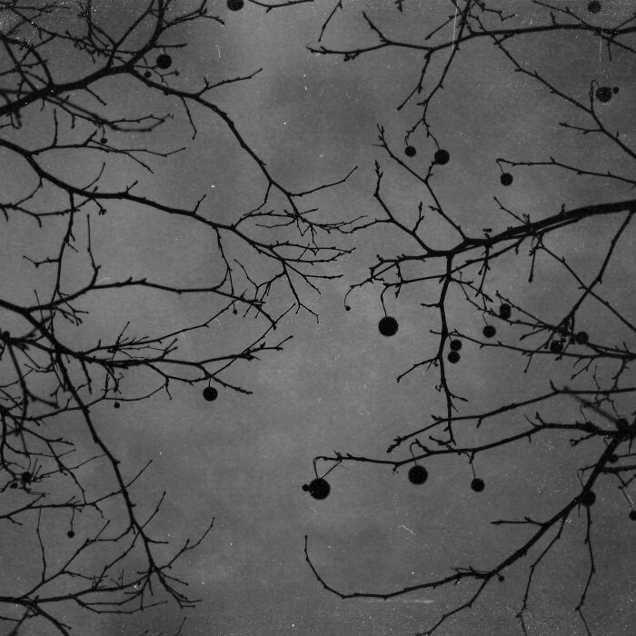 A Visual Exploration Of Narcissistic Abuse And Recovery (15 Photos)