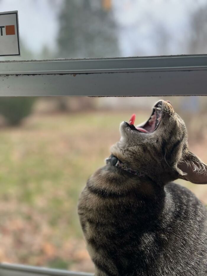 Not Sure What She's Doing Here