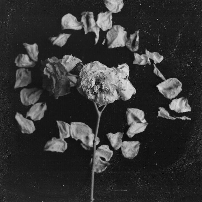 A Visual Exploration Of Narcissistic Abuse And Recovery (15 Photos)