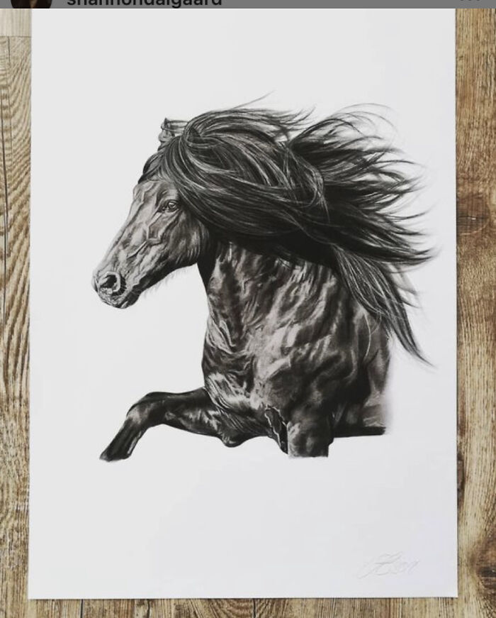 This One Is By Far My Favorit Charcoal Drawing