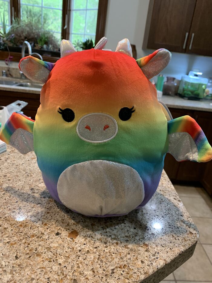 Squishmallows! I Also Collect Rocks, Fossils, And Plants