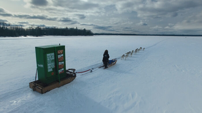 The Great Frozen Pizza Expedition: We Crossed Two Borders By Dog Sled To Bring Frozen Pizza To Residents Of Angle Inlet