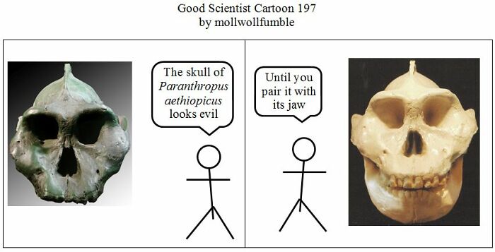 Good Scientist Cartoon: Exploring The Boundaries Between Genius And Stupidity (40 Pics)