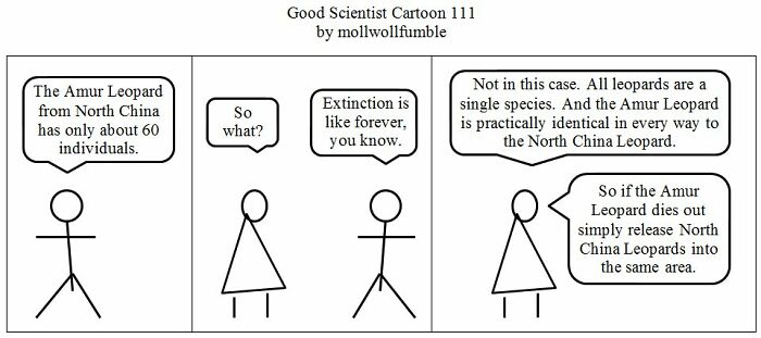 Good Scientist Cartoon: Exploring The Boundaries Between Genius And Stupidity (40 Pics)