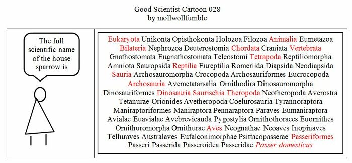 Good Scientist Cartoon: Exploring The Boundaries Between Genius And Stupidity (40 Pics)