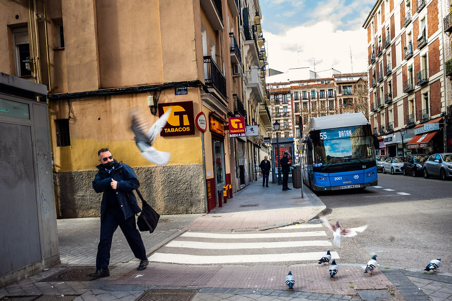 Man Startled By Pigeon