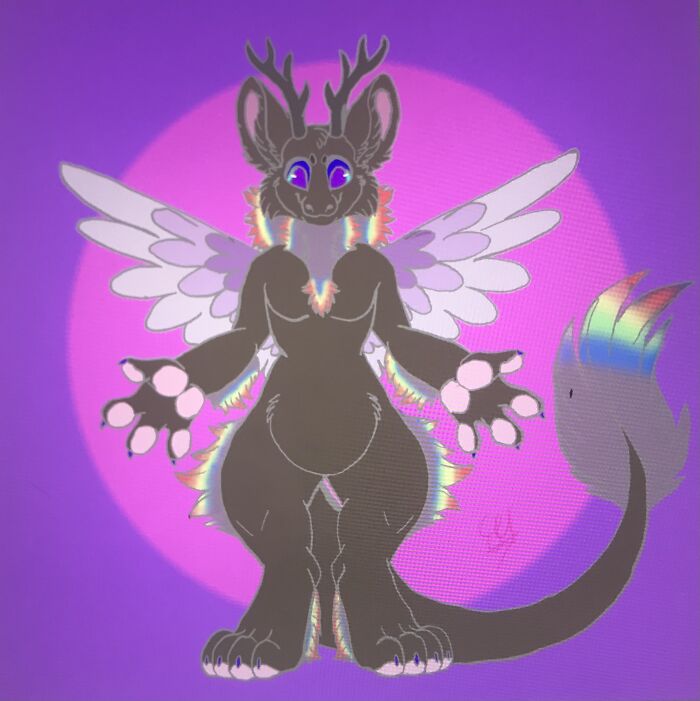 Dutch Angel Dragon Named Willow!