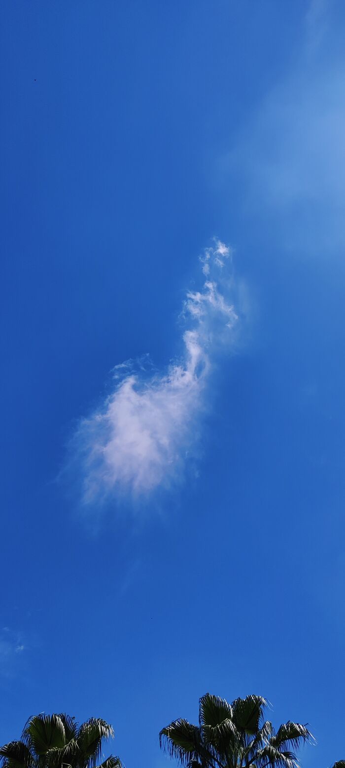 Lonely Cloud 